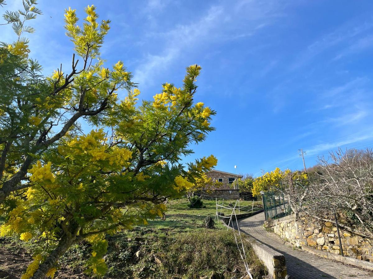 Agriturismo Le Mimose Империя Экстерьер фото